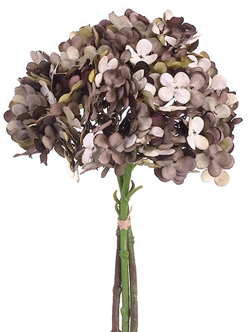 Brown Gray