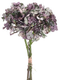 Lavender Aqua