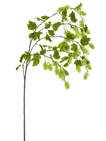 38" Hops Spray  Light Green (pack of 6)