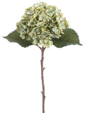 Green Gray