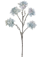 Blue Gray