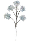 Blue Gray