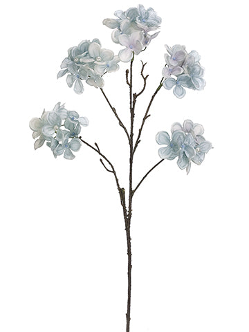 Blue Gray
