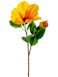Yellow Orange
