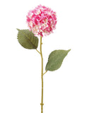 Fuchsia Pink