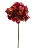 Burgundy Green