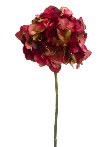 Burgundy Green