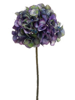 Purple Green
