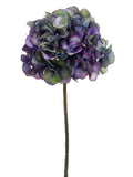 Purple Green
