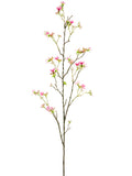 Cerise Pink