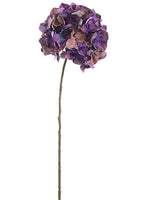 Two Tone Purple