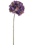 Two Tone Purple