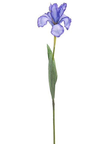 24" Iris Spray  Lavender (pack of 36)