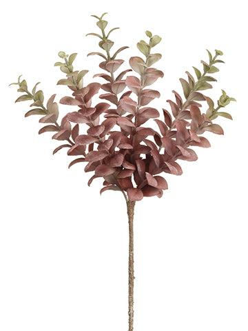 Green Burgundy