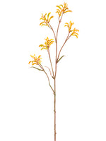 Yellow Brown