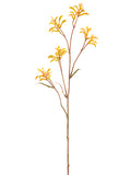 Yellow Brown