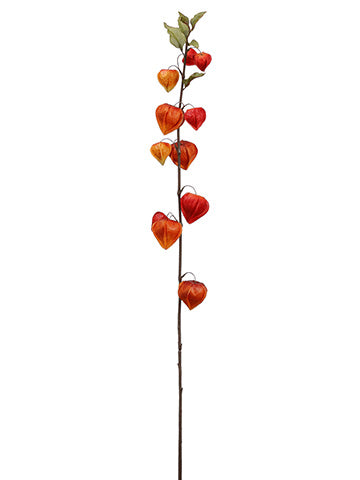 40" Chinese Lantern Spray  Two Tone Orange (pack of 12)