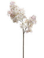 Pink Cream