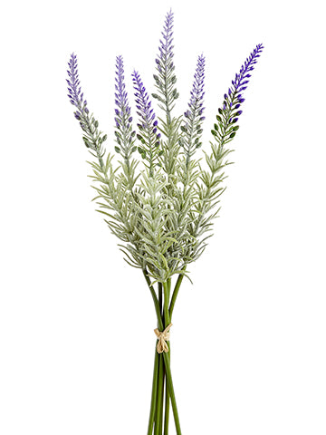 15.5" Lavender Bundle x6  Lavender (pack of 12)