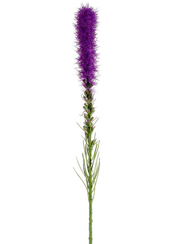 32" Liatris Spray  Purple (pack of 12)