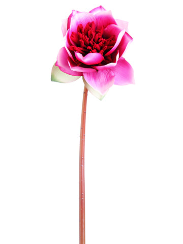 20" Soft Touch Lotus Flower Spray Two Tone Beauty (pack of 12)