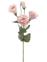 Pink Soft