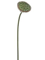 29.5" Lotus Pod Spray  Green (pack of 12)
