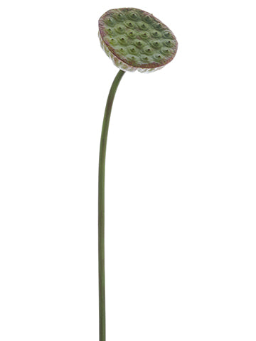 29.5" Lotus Pod Spray  Green (pack of 12)