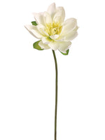 Cream Yellow