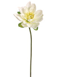 Cream Yellow