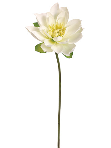 Cream Yellow