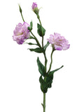 Two Tone Lilac