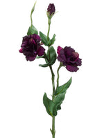Two Tone Violet