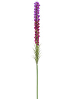 Lavender Orchid