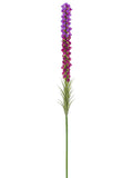 Lavender Orchid