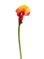 Two Tone Flame