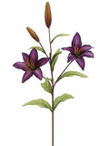 Dark Purple