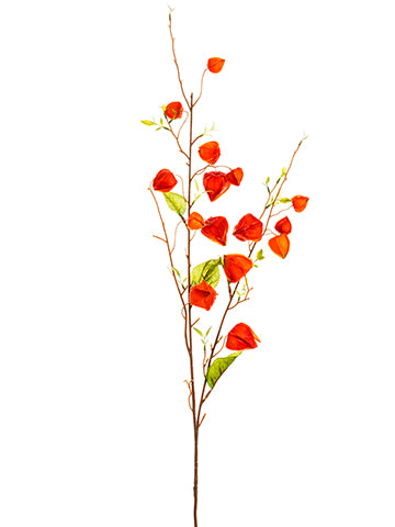 35" Chinese Lantern Spray  Flame (pack of 12)