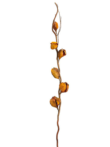 37.4" Magnolia Bud Spray  Brick (pack of 12)