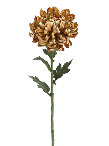 25" Mum Spray  Green Rust (pack of 24)