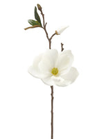 22.5" Magnolia Spray  White (pack of 12)