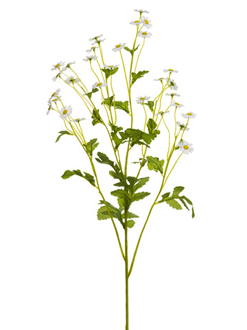 26" Matricaria Chamomilla Spray Yellow (pack of 12)