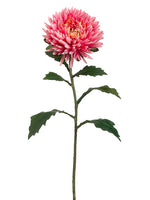 26" Double Mum Spray  Two Tone Rose (pack of 12)