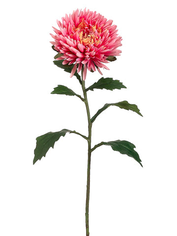 26" Double Mum Spray  Two Tone Rose (pack of 12)