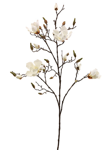 40" Magnolia Spray  Cream (pack of 6)