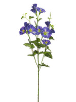 Lavender Purple