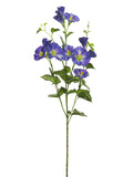 Lavender Purple