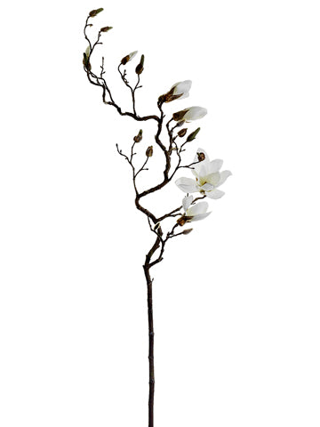 54" Magnolia Spray  Cream (pack of 6)