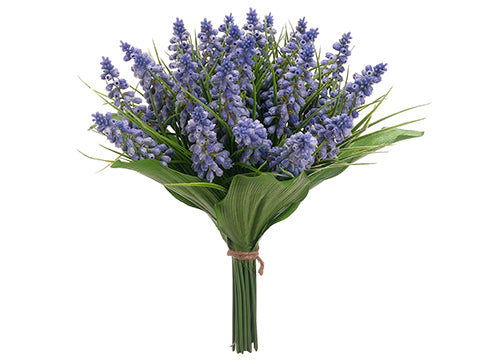 10.5" Muscari Bundle  Helio Blue (pack of 6)
