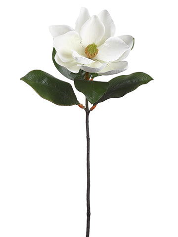 24" Magnolia Spray  Cream (pack of 12)